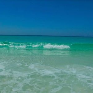 Meet your Posher, Rekha